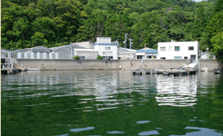 高知の海